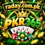 PKR365 best Earning Game
